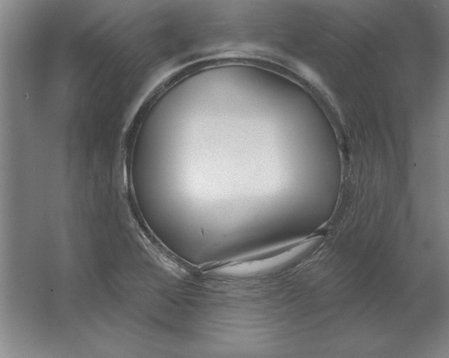 X0000062141368200512301516