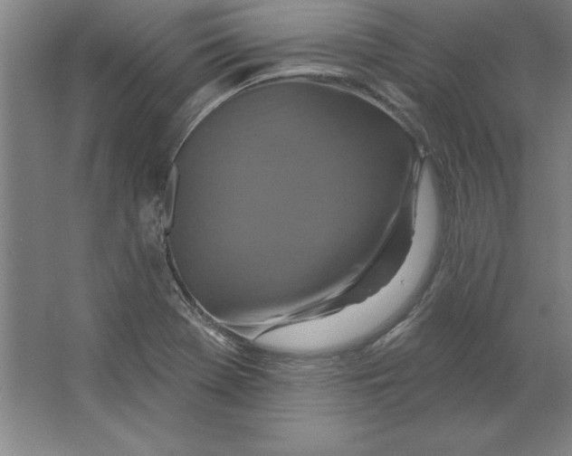 X0000062141369200512301516