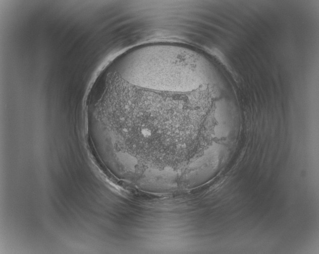 X0000062141371200512301516