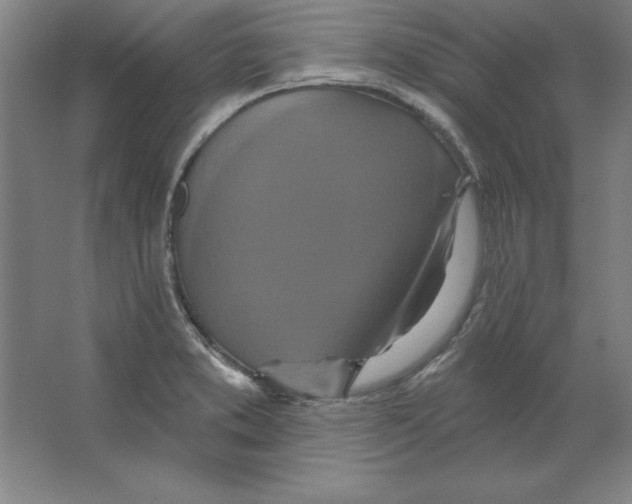 X0000062141373200512301516