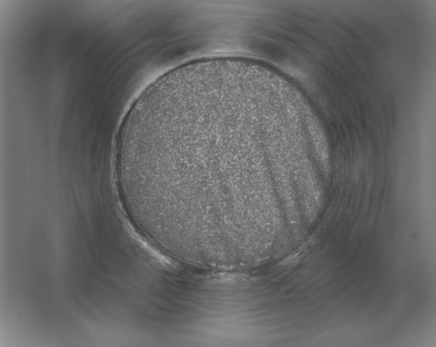 X0000062141374200512301516