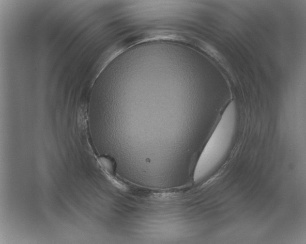 X0000062141377200512301516