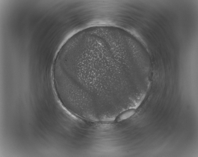 X0000062141382200512301516