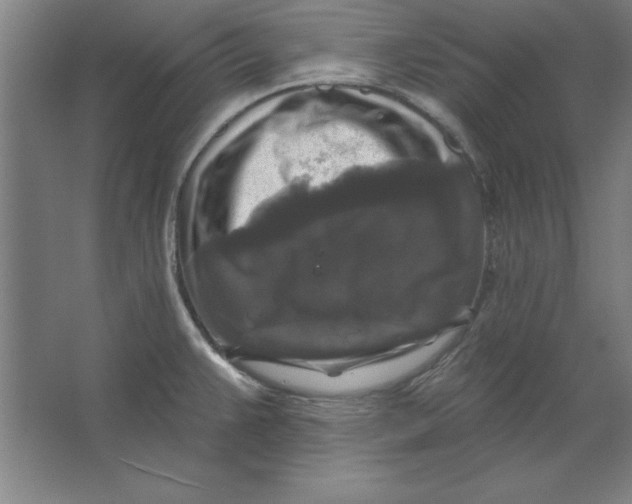 X0000062141383200512301516