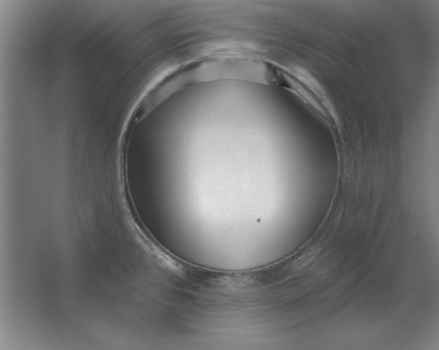 X0000062141384200512301516