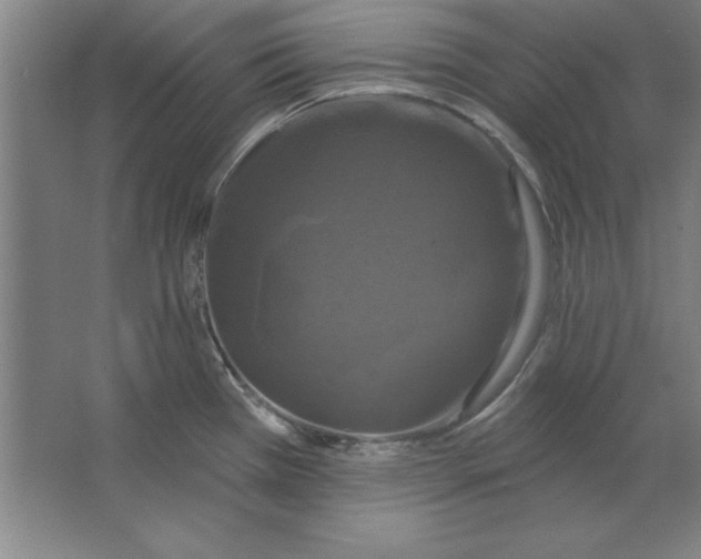 X0000062141385200512301516