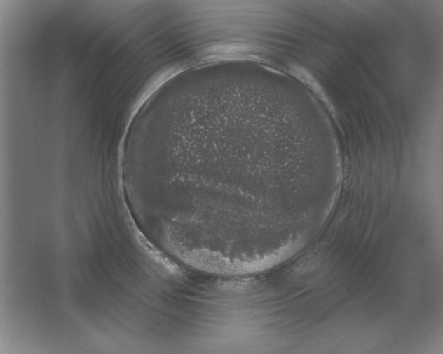 X0000062141386200512301516