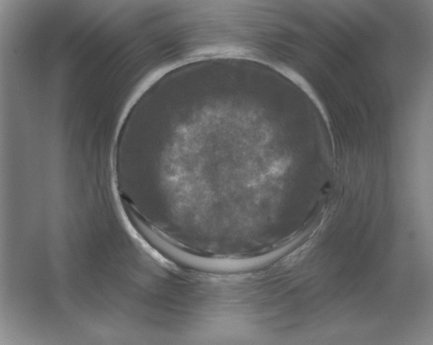 X0000062141389200512301516