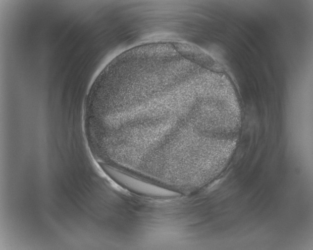 X0000062141390200512301516