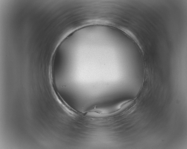 X0000062141391200512301516