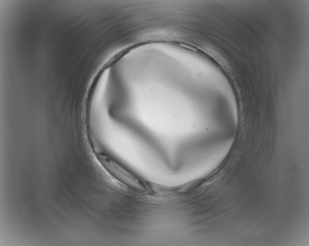 X0000062141392200512301516