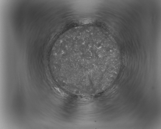 X0000062141393200512301515