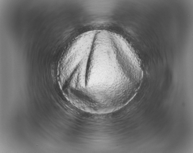 X0000062141396200512301515