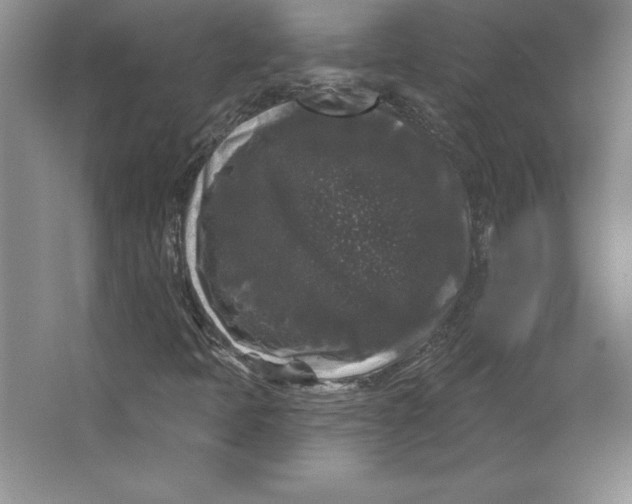 X0000062141397200512301515