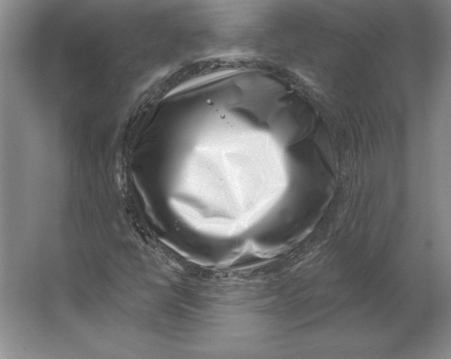 X0000062141398200512301515