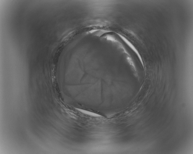 X0000062141399200512301515