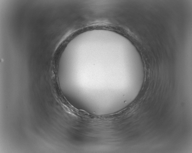 X0000062141400200512301515