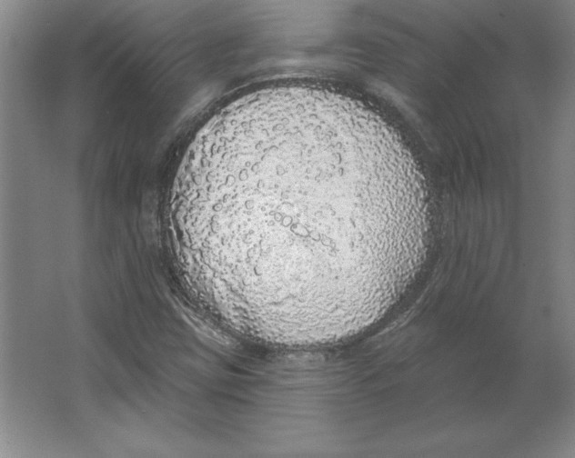 X0000062141403200512301515