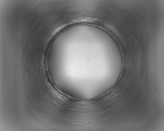 X0000062141404200512301515