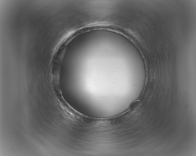 X0000062141406200512301515