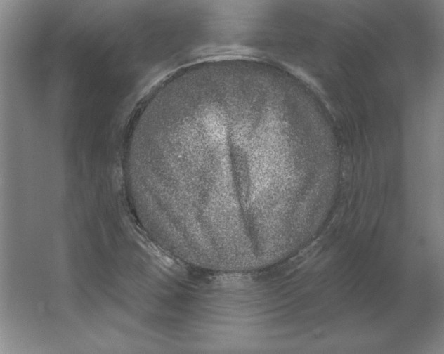 X0000062141407200512301515