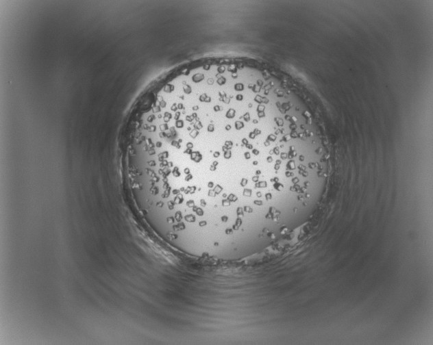 X0000062141408200512301515