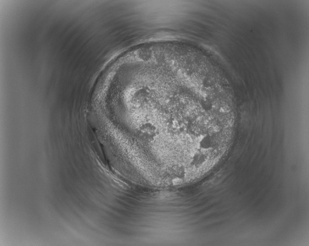 X0000062141409200512301515