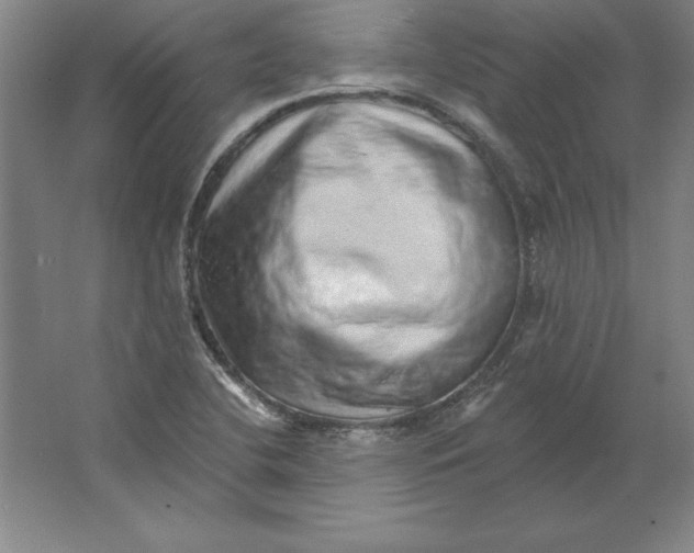 X0000062141412200512301515