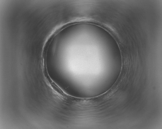 X0000062141414200512301515