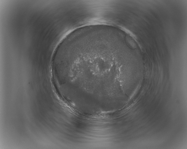 X0000062141415200512301515