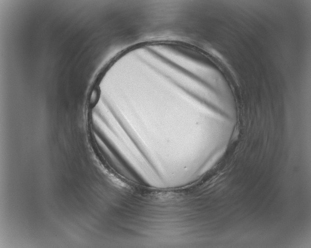 X0000062141416200512301515