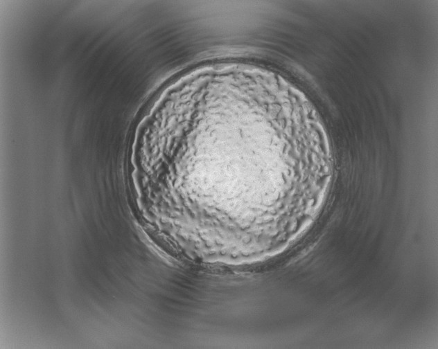 X0000062141417200512301515