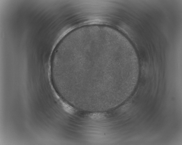 X0000062141418200512301515