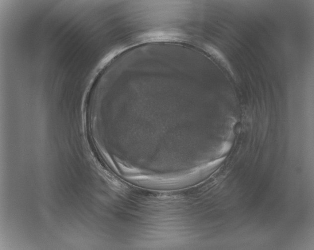 X0000062141419200512301515