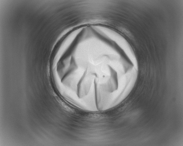 X0000062141420200512301515