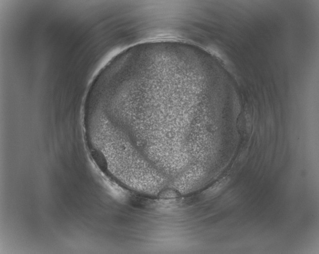 X0000062141422200512301515