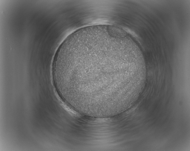 X0000062141423200512301515