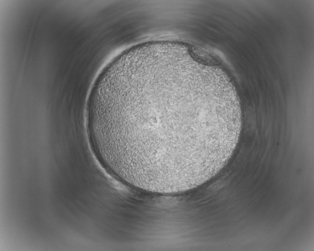 X0000062141424200512301515