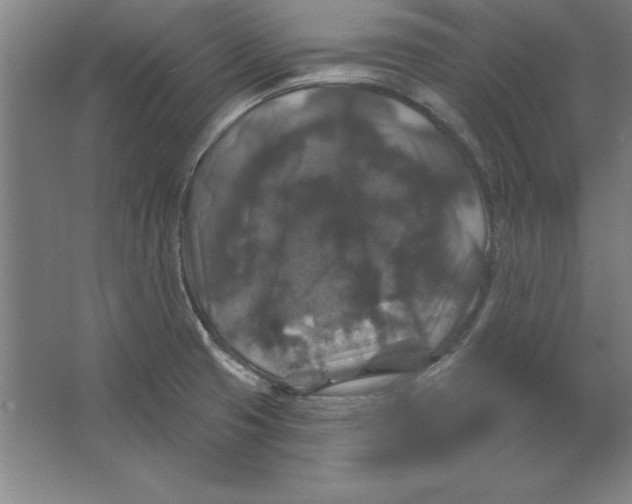 X0000062141425200512301515