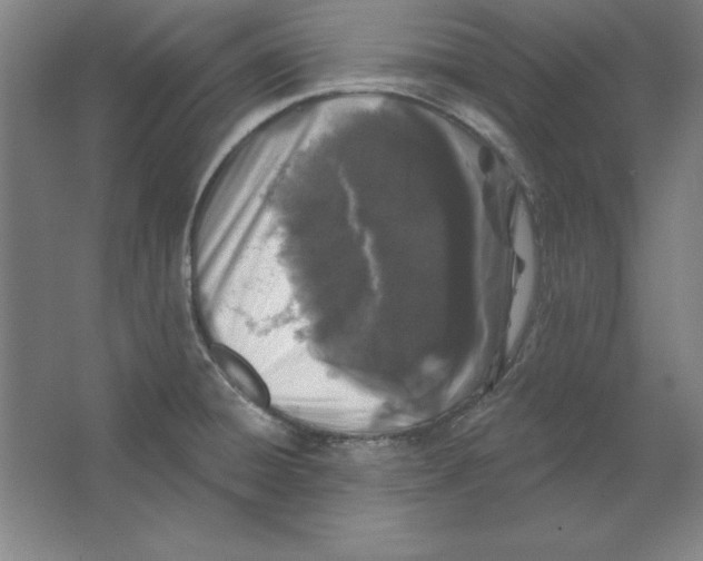 X0000062141428200512301516