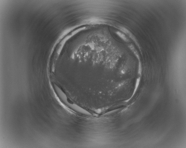 X0000062141429200512301516