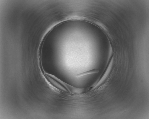 X0000062141430200512301516