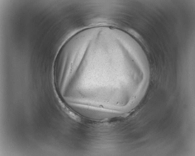 X0000062141431200512301516