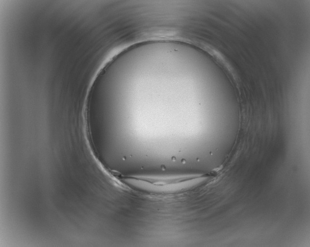 X0000062141432200512301516