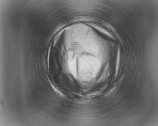 X0000062141433200512301516