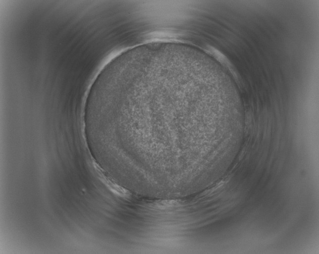 X0000062141435200512301516