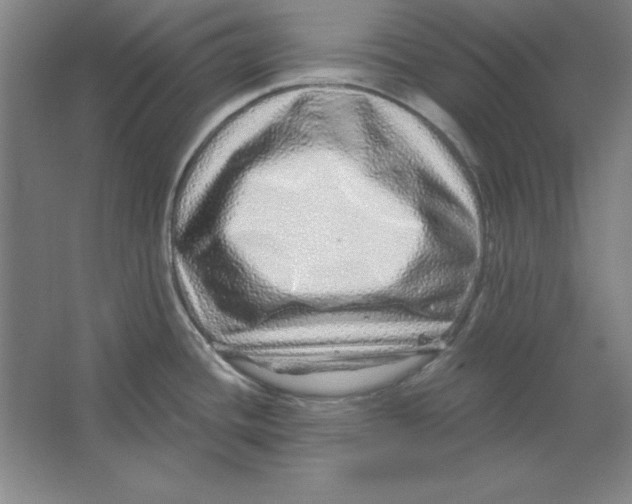 X0000062141436200512301516