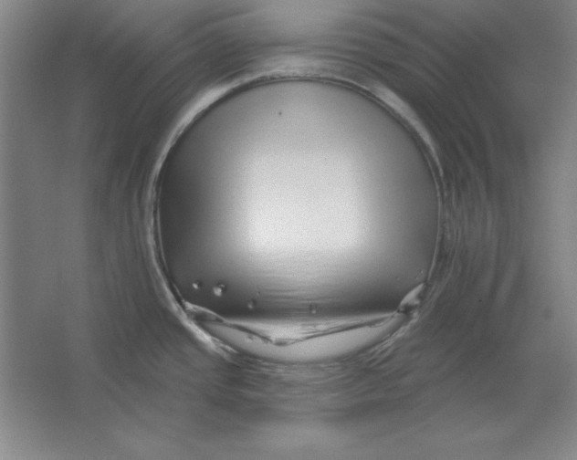 X0000062141437200512301516