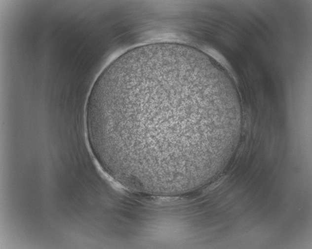 X0000062141439200512301516