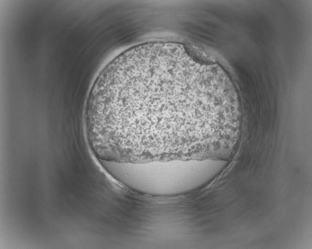 X0000062141440200512301516